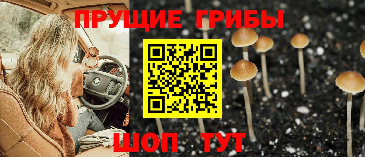Псилоцибиновые грибы Magic Shrooms Татарск