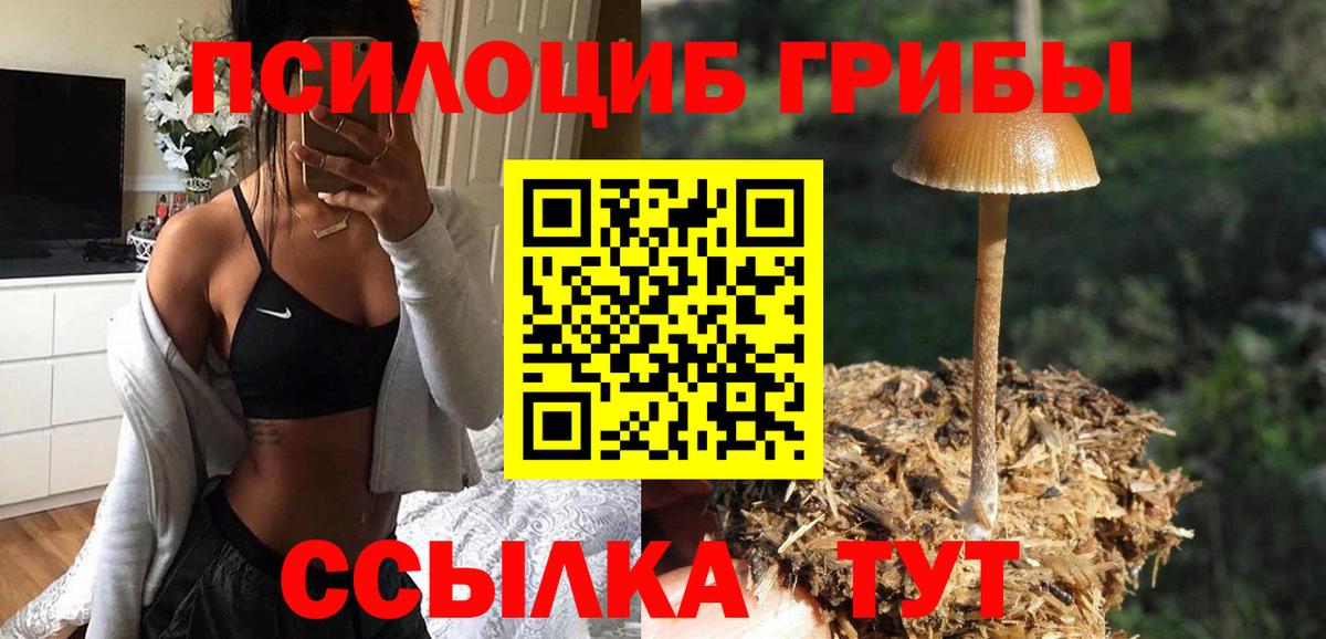 Псилоцибиновые грибы ЛСД  Вход с VPN  Татарск 